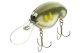 DAIWA Prorex Fuku 1 Crank, Ψαράκι, 5,5cm, blue perch, 15262-512