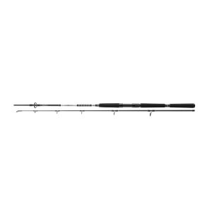 DAIWA BG Offshore Pilk, 3m, 9,84ft, 50-165g, 2 Parts, Pilk Fishing Rod, 11928-300